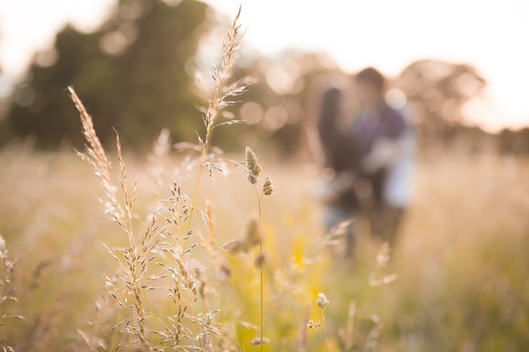 Sarah & Alex (1 of 78).jpg