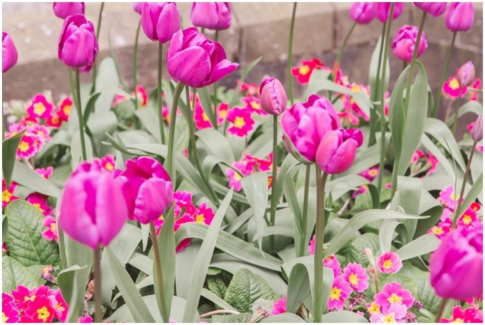 Cardiff Castle alternative wedding photographer 048.JPG Cardiff Castle alternative wedding photographer 048.JPG