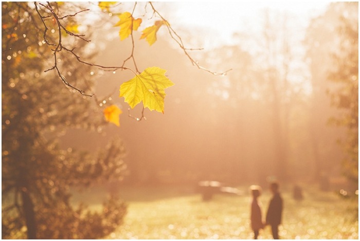 Pre Wedding Photo Shoot Cardiff 00019.JPG
