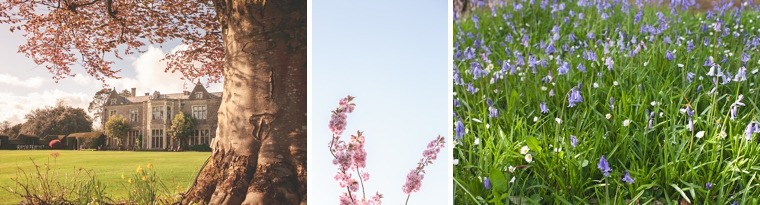 Tom&Beth (189 of 508).jpg